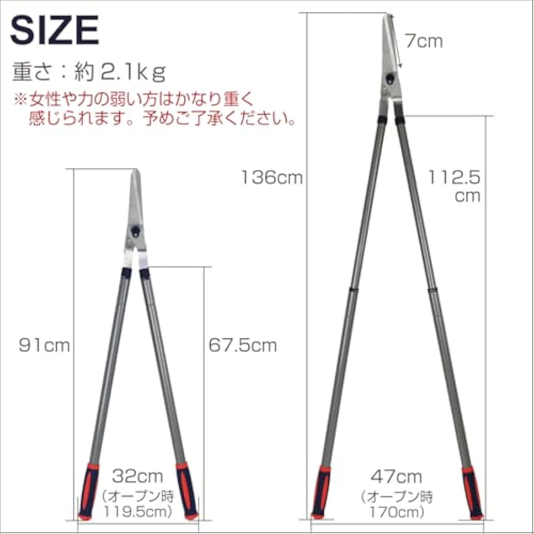 Spear & Jackson 4911RSS Razorsharp Steel Telescopic Lawn Shear, Gray