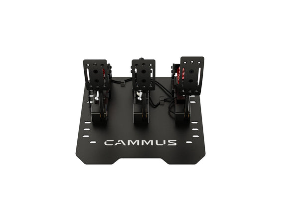 CAMMUS Direct Drive Racing Wheel Sim Simulator LC100 Pedals Set