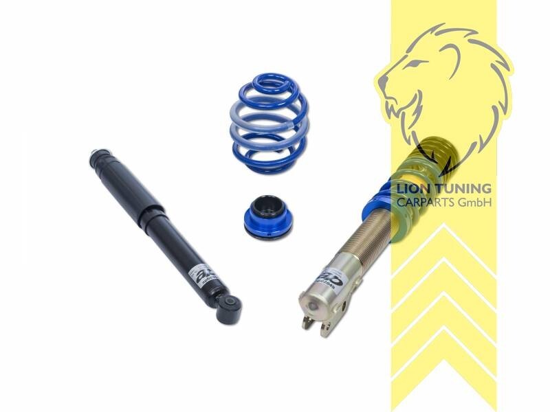 AP Coilovers Lowering Suspension Peugeot 205 1 2 hatchback convertible 83-98