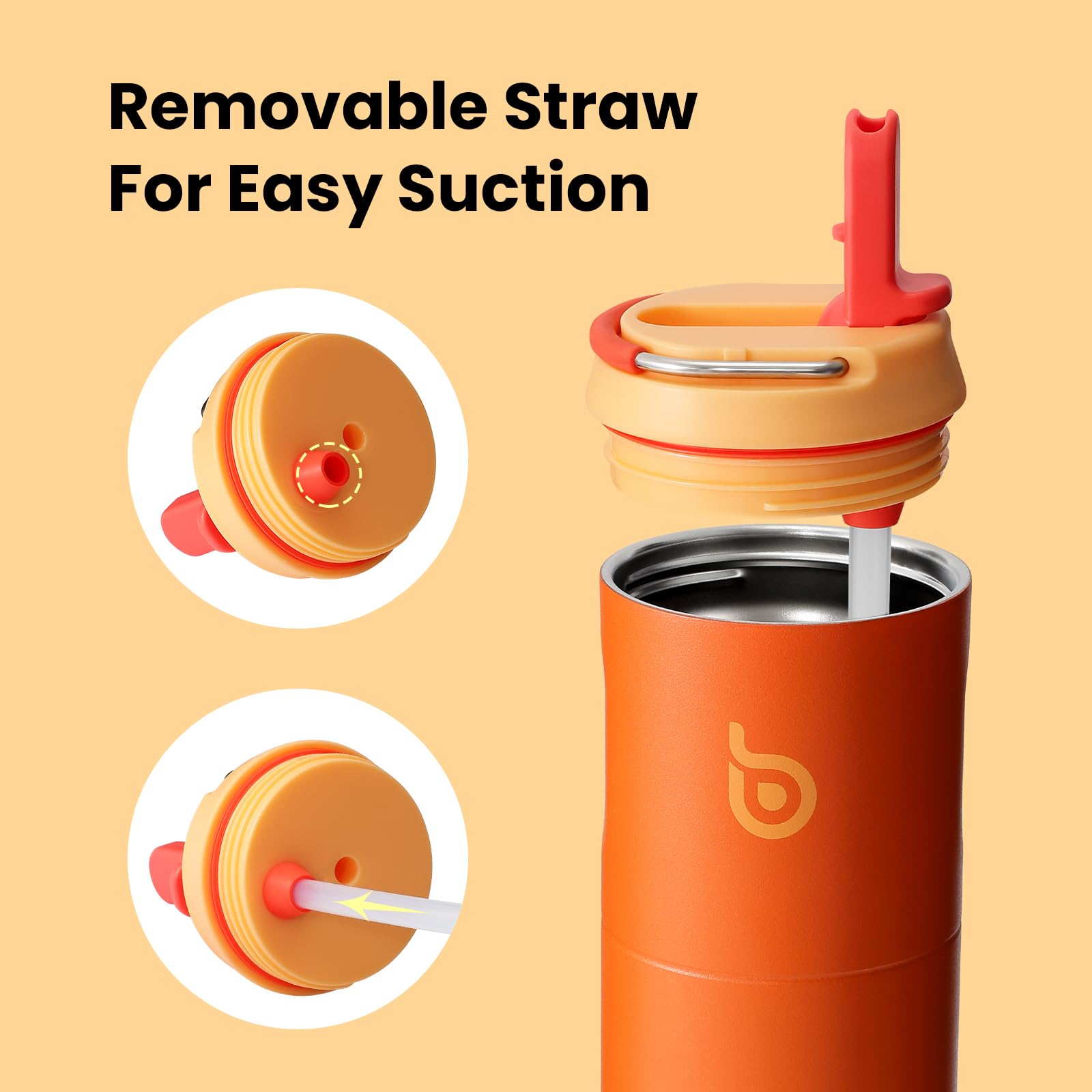 Insulated Water Bottle 700ml(24oz) with Straw, Lid, and Handle - Stainless Steel Sports Travel Gym Bottle for Men and Women (Skiing)