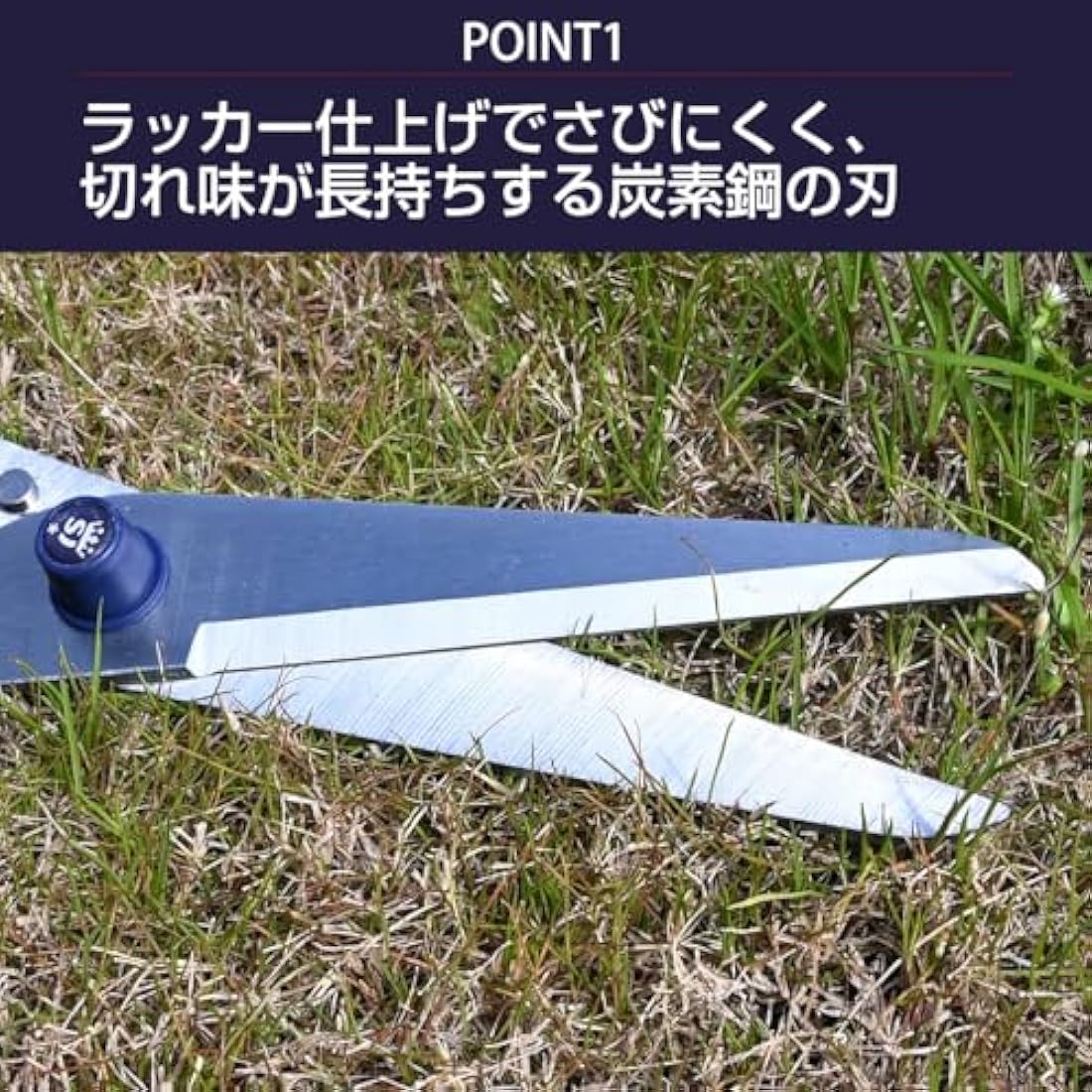 Spear & Jackson 4911RSS Razorsharp Steel Telescopic Lawn Shear, Gray