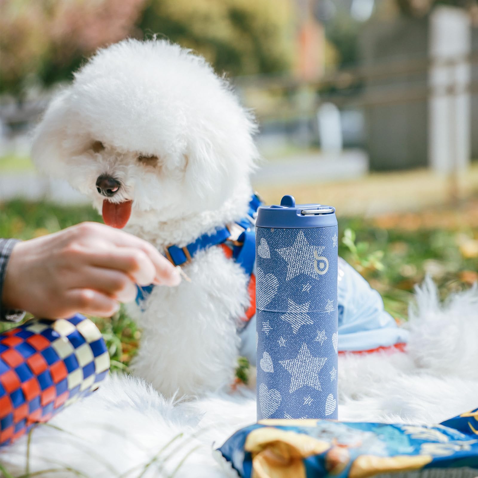 Insulated Water Bottle 700ml(24oz) with Straw, Lid, and Handle - Stainless Steel Sports Travel Gym Bottle for Men and Women (Skiing)