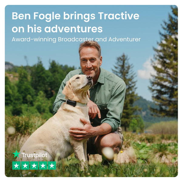 Tractive Smart Dog Tracker | 2025 Edition | Real-time GPS Tracking | Escape & Health Alerts | Vitals Monitoring | Market Leader (Black)